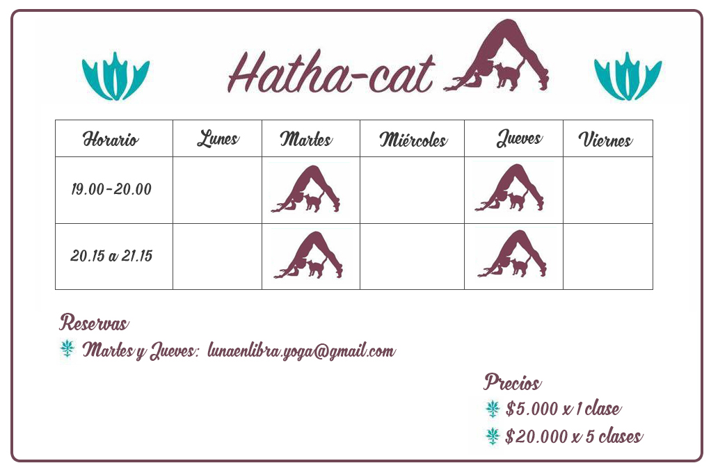 horario_yoga2018