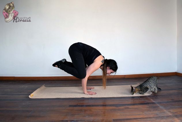 yoga8