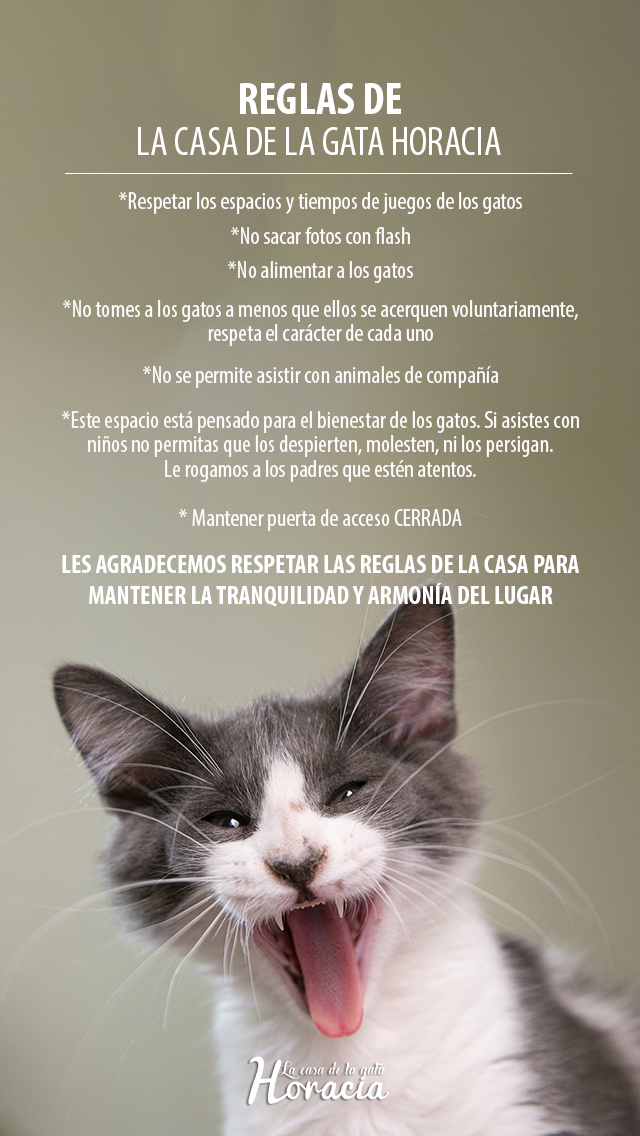 Reglas de la casa en La Casa de La Gata Horacia